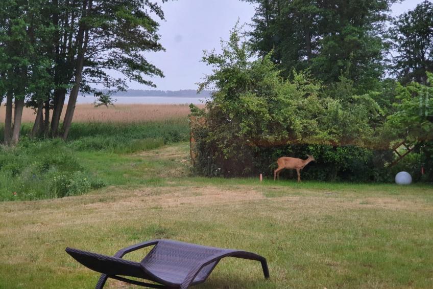 Admiral's Corner Lee - foto 29