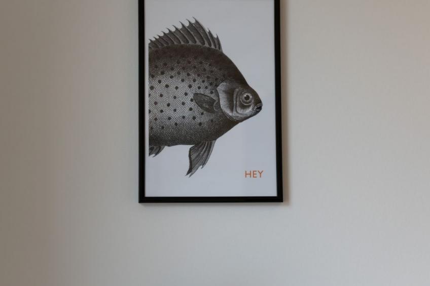 Küstenbutze - Modernes Apartment für 2 mit vollausgestatteter Küche, Balkon, Ne - foto 13