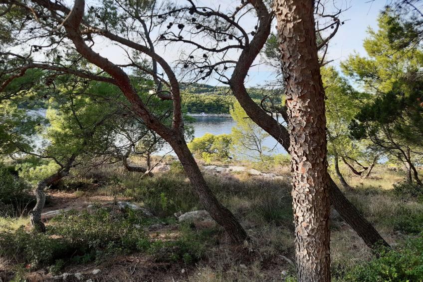 Gesamtes Ferienhaus in Sumartin mit Privatem Pool - foto 64