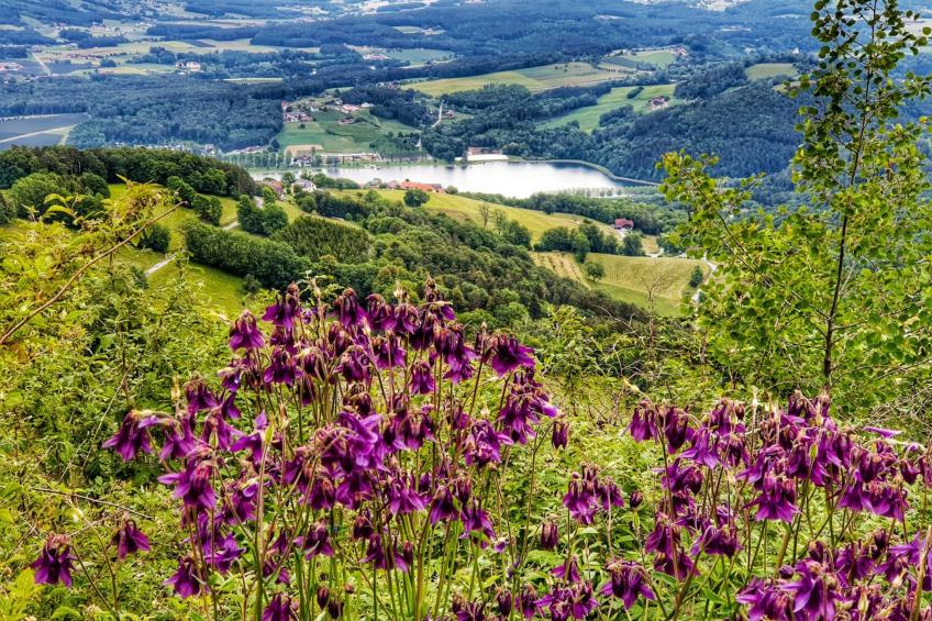 Komfortable Ferienwohnung in Stubenberg Am See mit Garten - foto 16