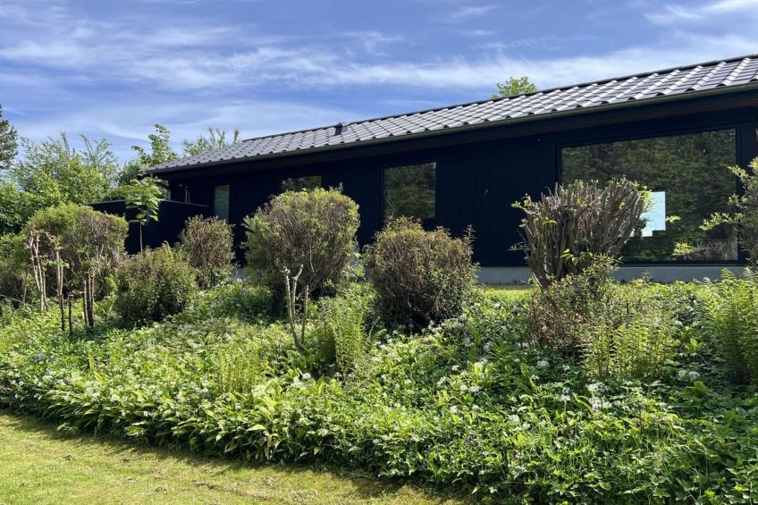 "Radica" - 400m from the sea - foto 12