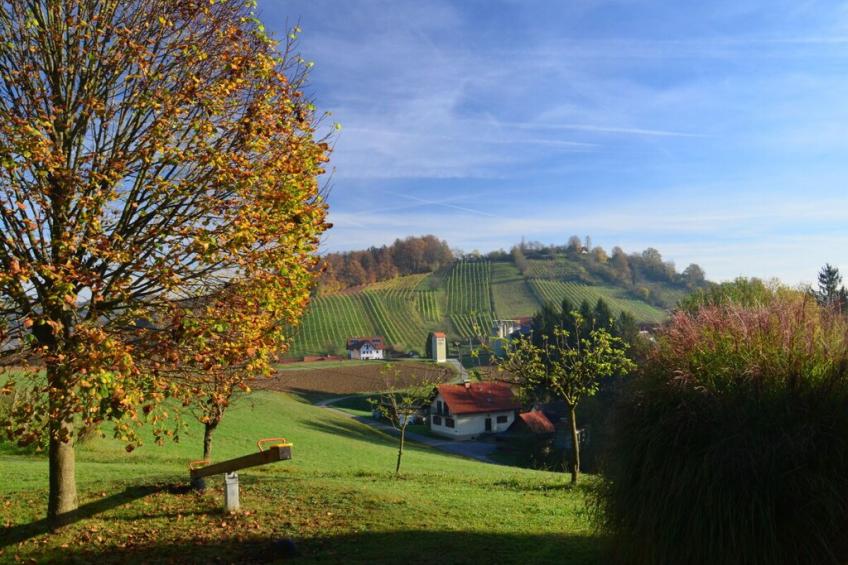 272012 - foto 17