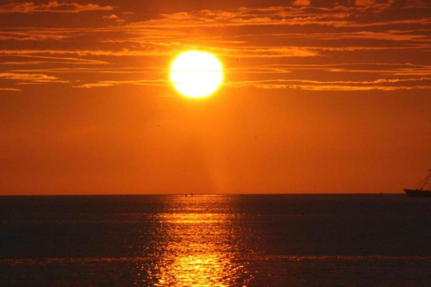 Beach Resort Brouwersdam 3 - foto 17