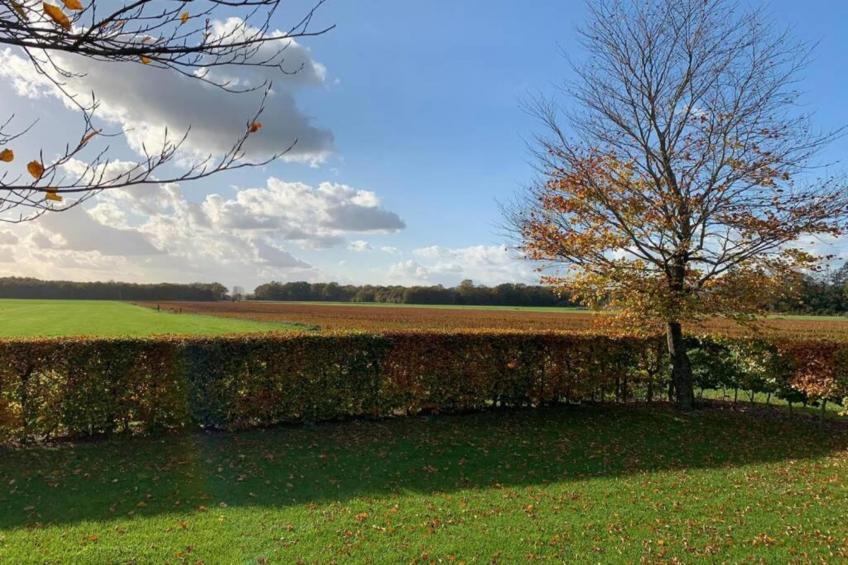 Recreatiepark Tolplas 17 - foto 35