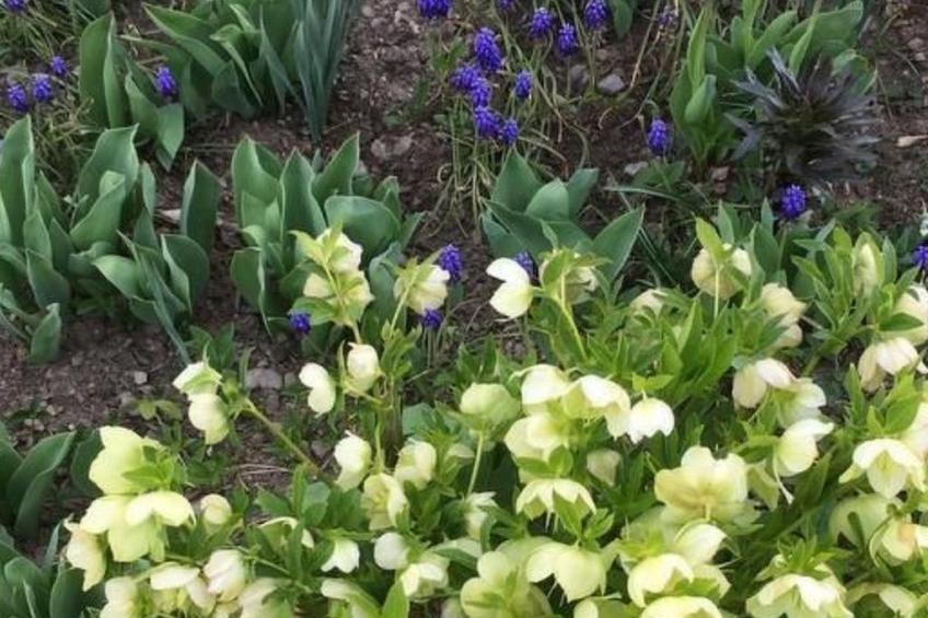 Wohnung mit Bergblick - foto 25