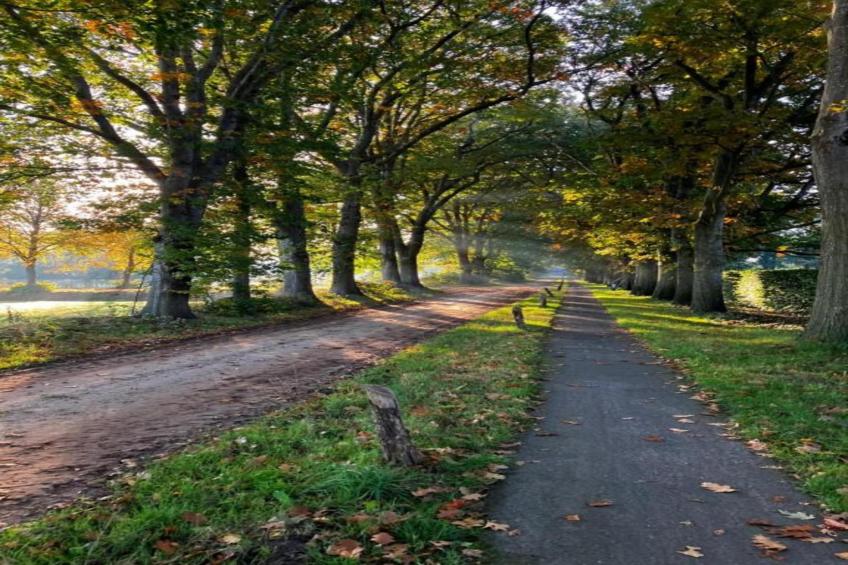 Vakantiepark de Noordster 3 - foto 23