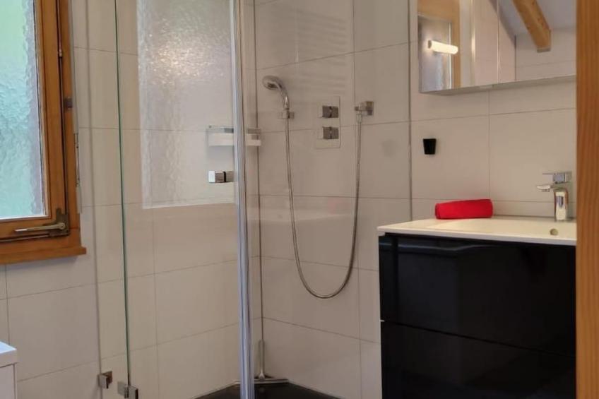 Villa Seelisberg mit Jacuzzi und Panoramablick - foto 30