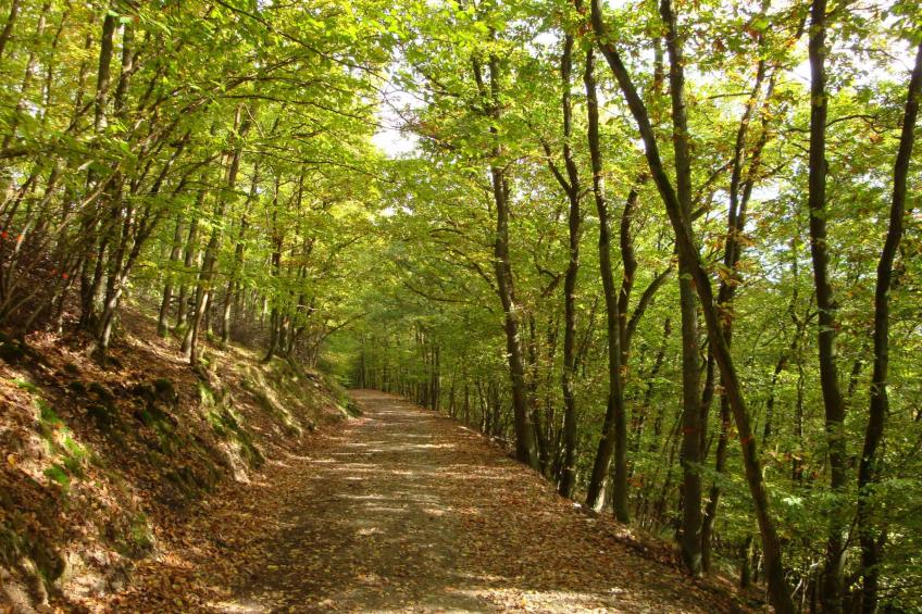 mit Parkplatz und Terrasse - foto 17