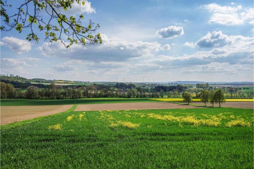Feriendorf Natur pur - foto 28