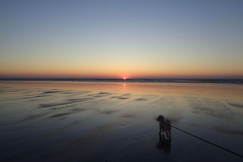 "Le Crépuscule" (Die Dämmerung) - foto 3