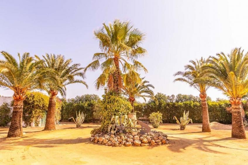 Casa Rural Santa Ana in Marchena, Sevilla - foto 39