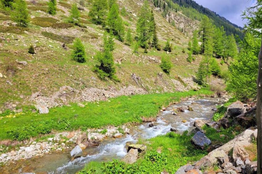 Les Terrasses d'Isola - foto 35