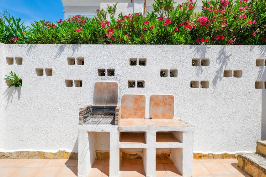 Bougainvillea - foto 18