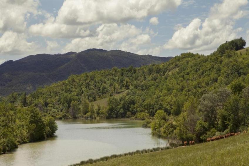 Villino Uno - foto 35