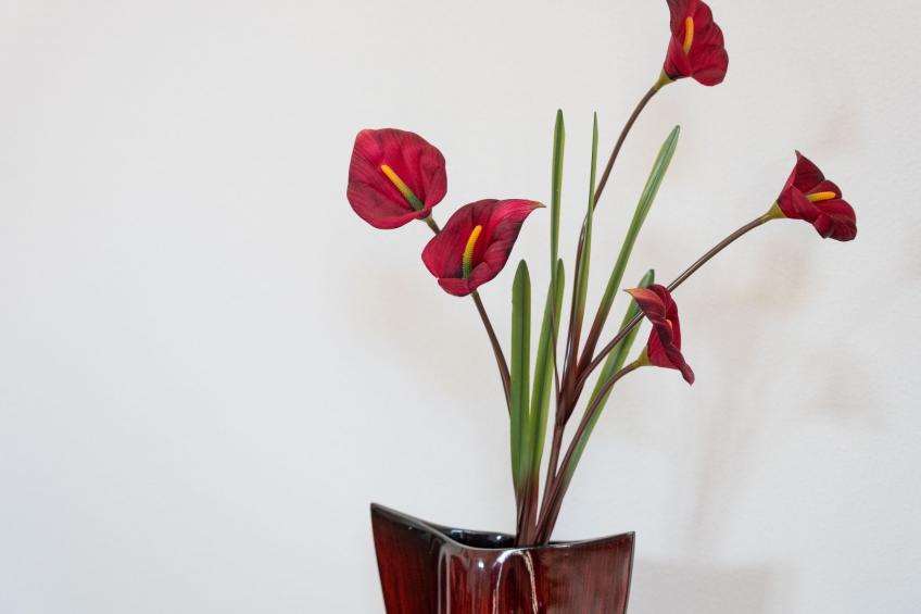 Wohnung 'Casa Sale' mit Bergblick - foto 8