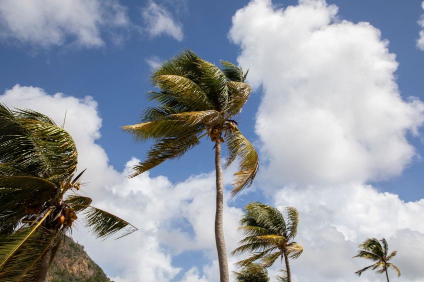 Poolside Bliss - Tropische Erholung im Paradise Apartment 3 - foto 4