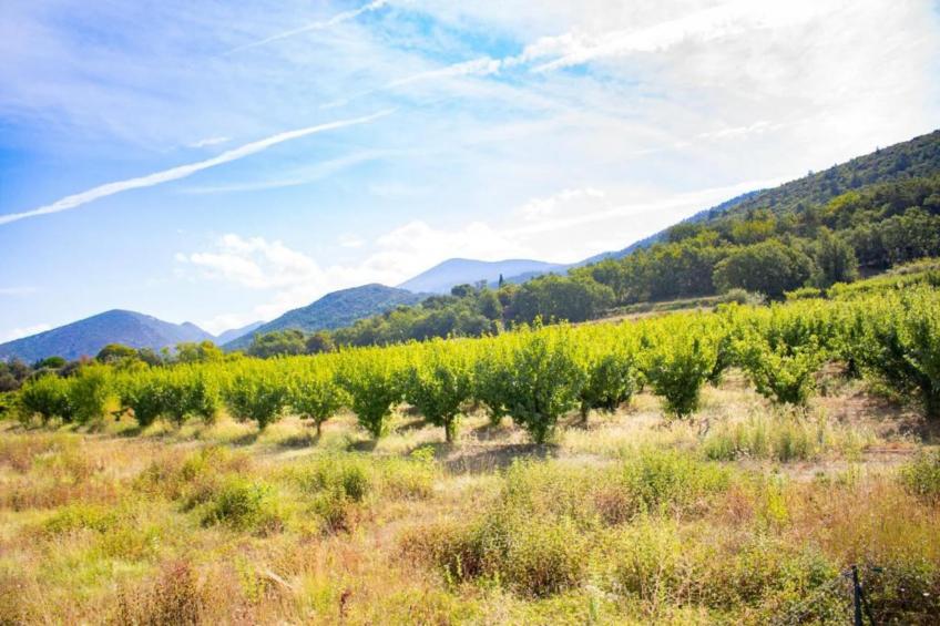 Villa Belle Suzette - foto 33