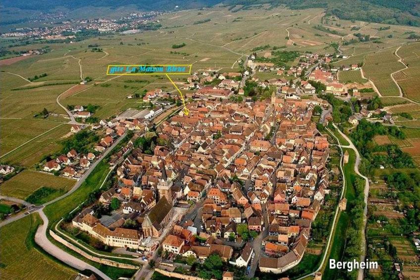 La Maison Bleue im Zentrum des Elsass in Bergheim - foto 18