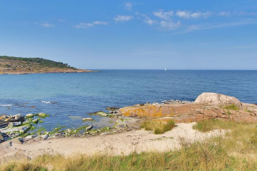 "Laia" - 500m from the sea in Bornholm - foto 6