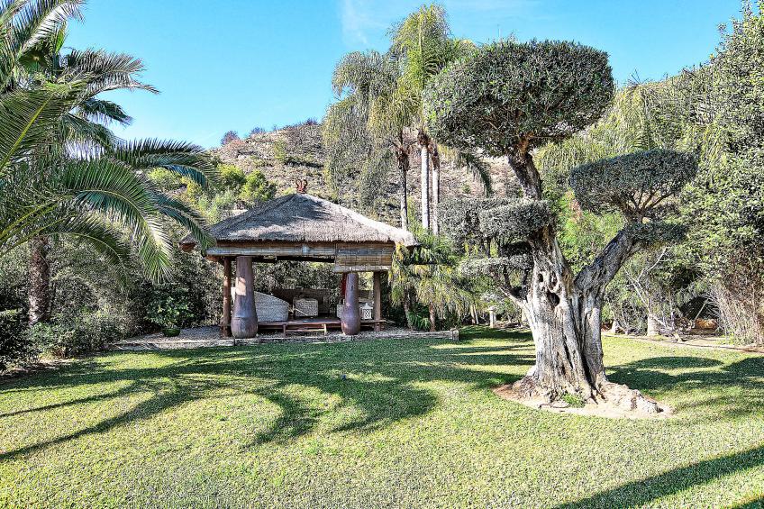 Casa Aviles - foto 4