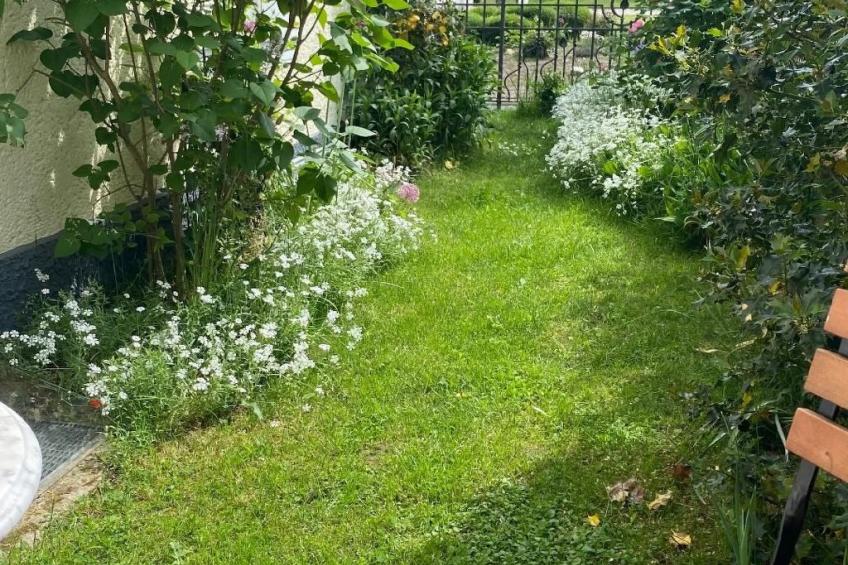 Auszeit Trittenheim - foto 10