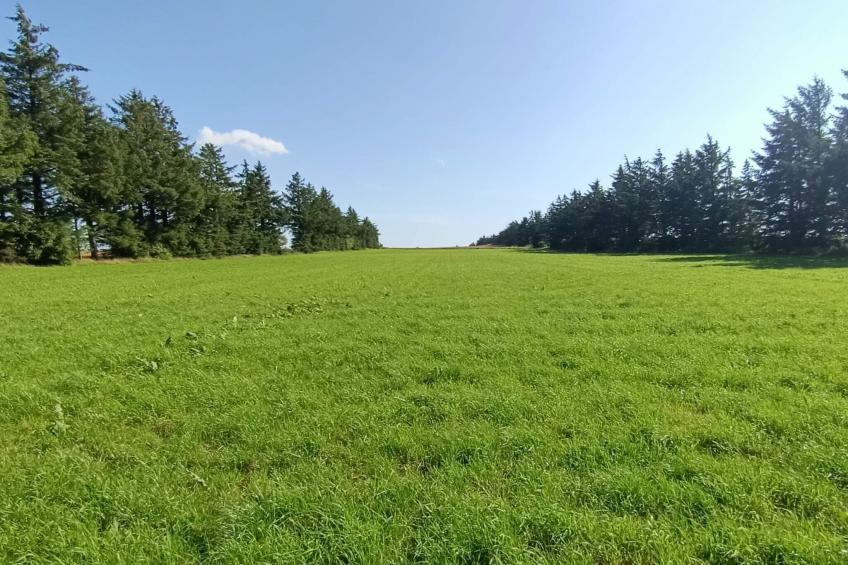 SKÆRBÆKCENTRET - foto 4