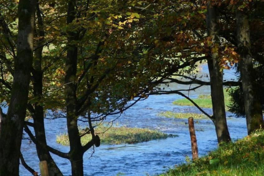 Großzügige Fewo im Künstlerhaus - foto 17