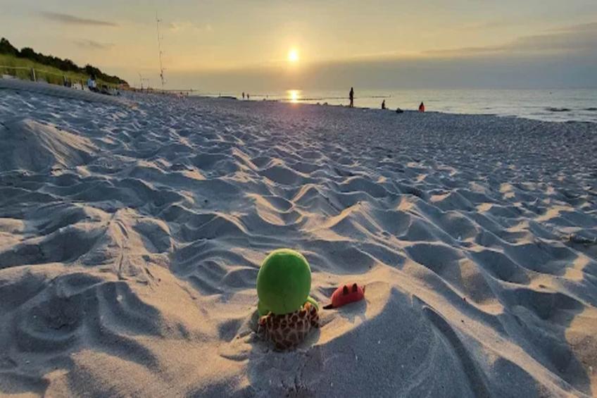 Holiday flat, Zingst|Buhnen 2.4 - foto 19