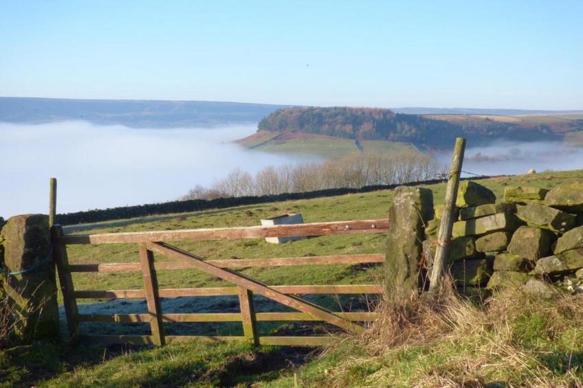 Rosedale Hall Cottage - foto 37