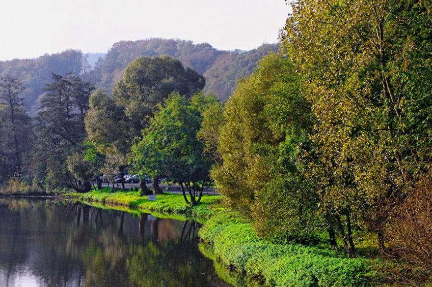 Chalet Wiedfluh in Waldbreitbach - foto 29