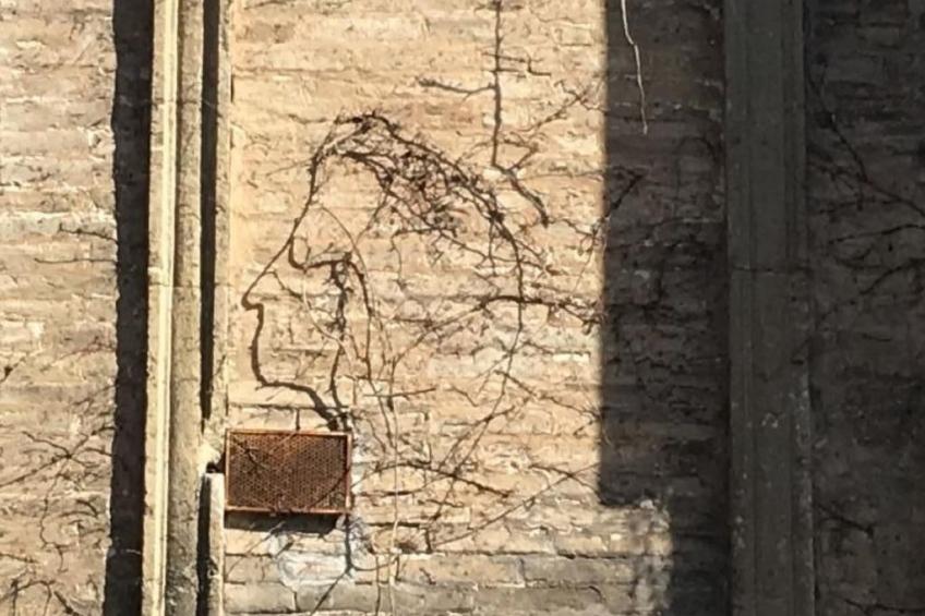 "MarcheAmore" - Die geheime Passage - foto 8