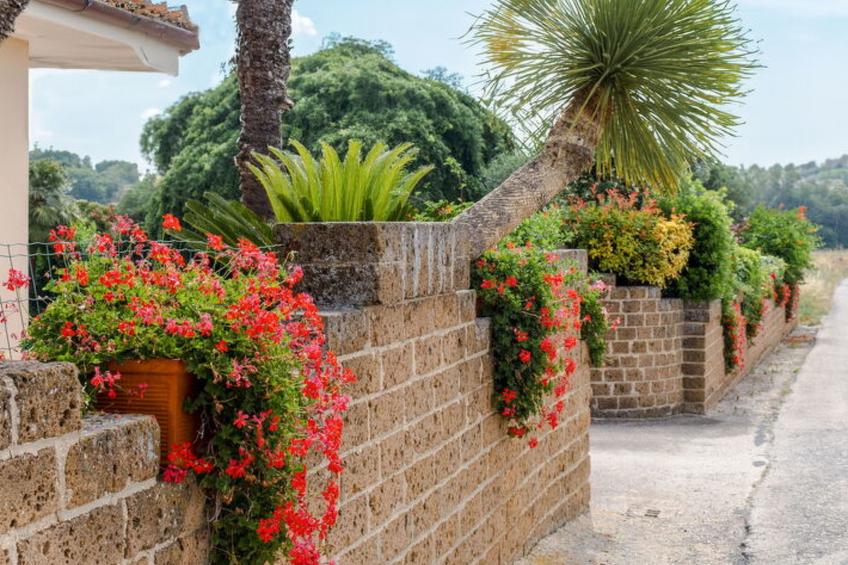 Cyca Holiday Home - foto 16