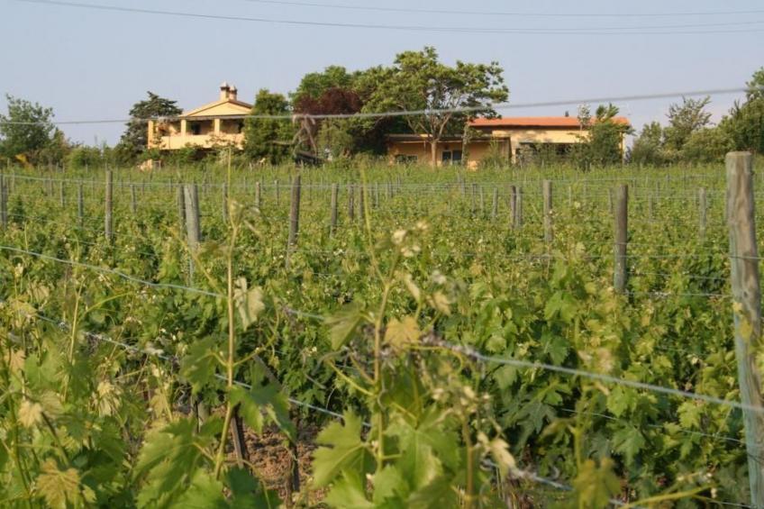 Haus mit Gartenblick - foto 25