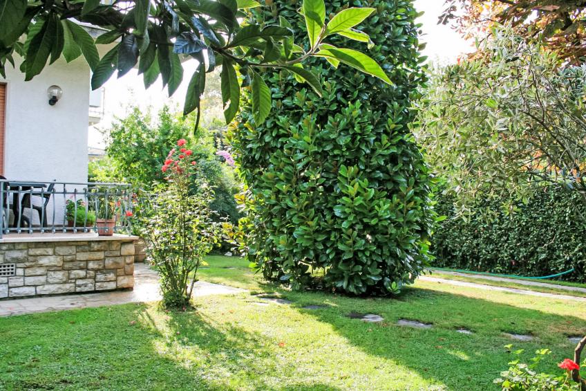 Villa Nannini - foto 4