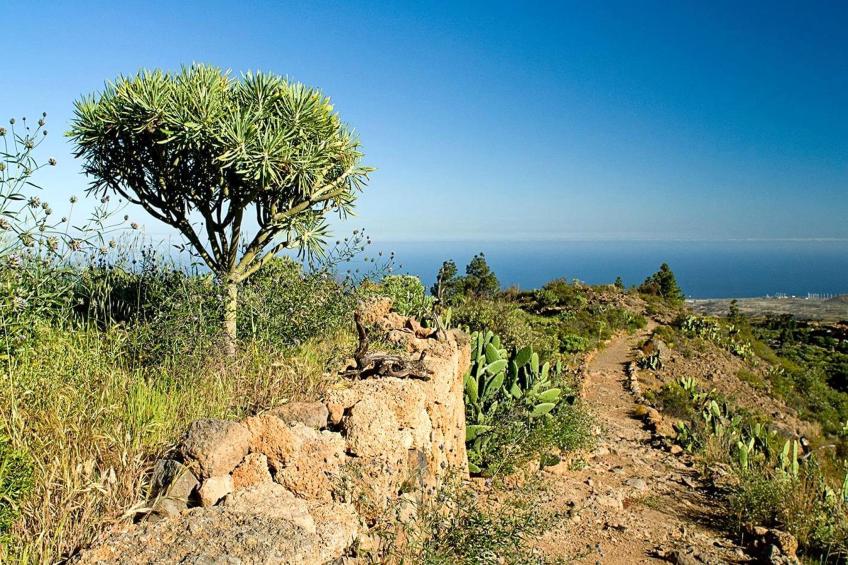 Casa Samuel - foto 29