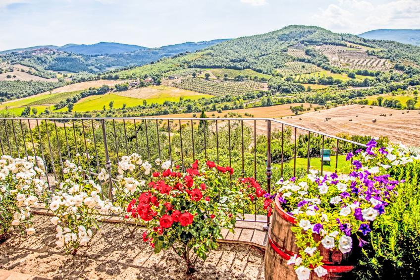 Agriturismo Belvedere delle Crete - foto 41