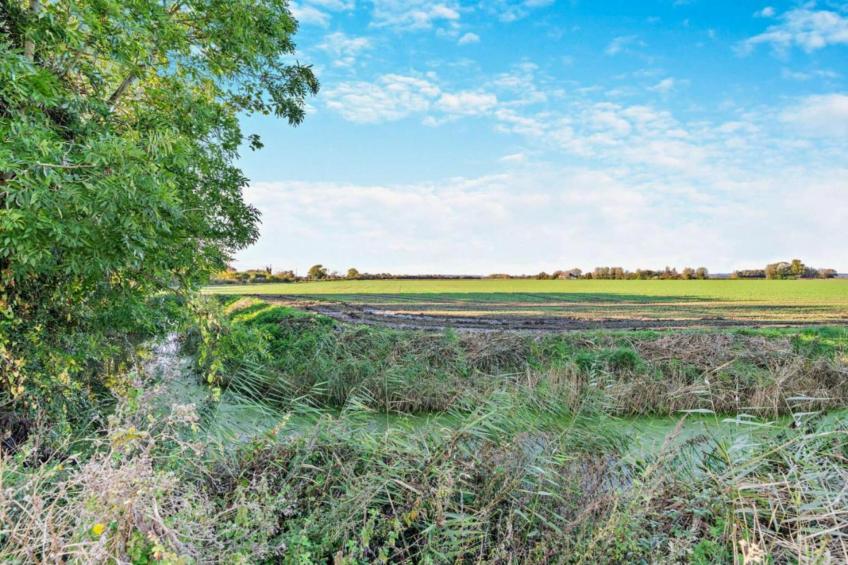 Rainbow Petty - foto 14