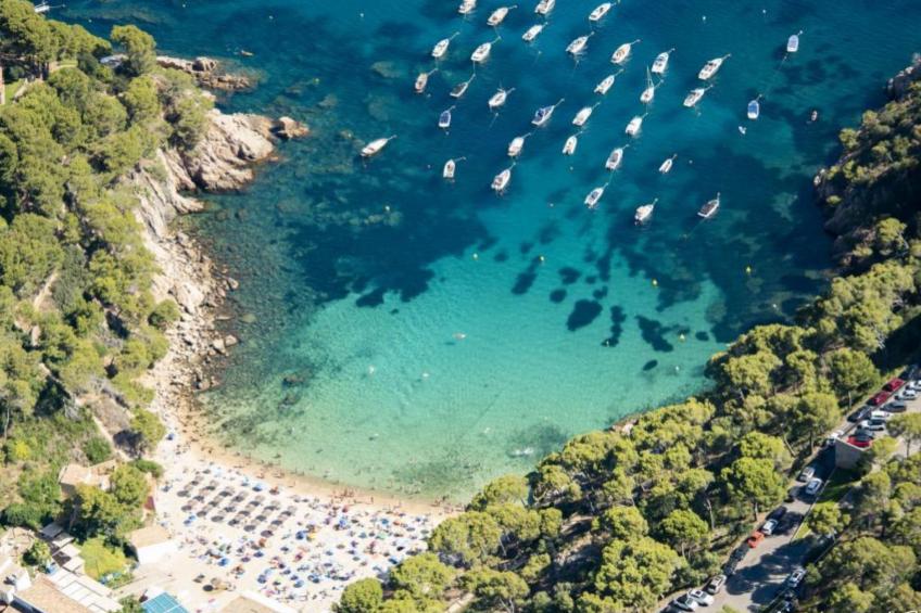 Ses Falguerines - foto 29