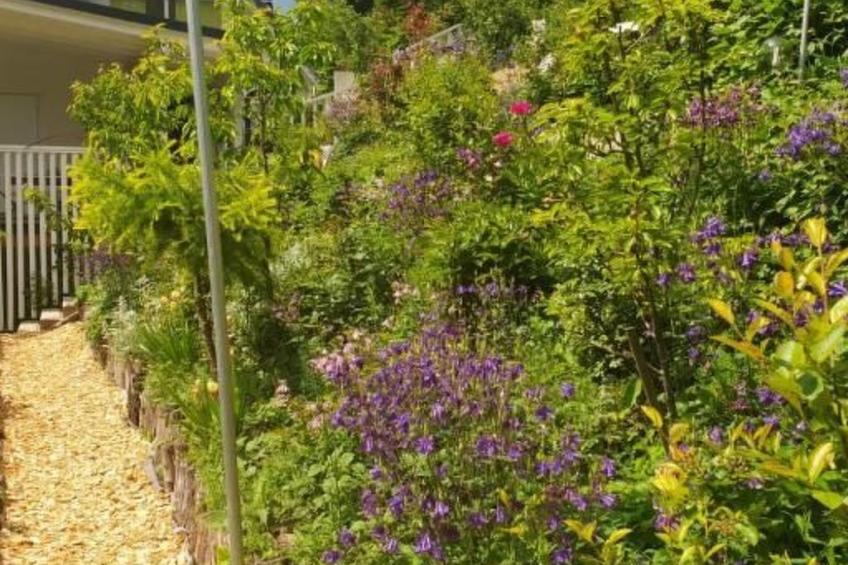 Black & White - foto 17