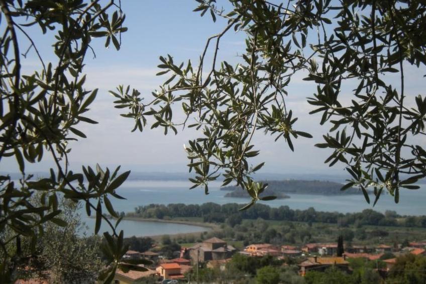 Renovierte Wohnung - foto 18