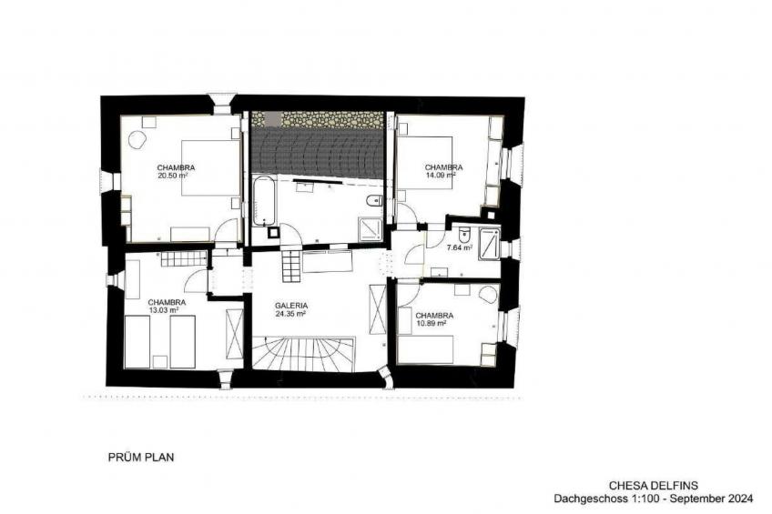 Chesa Delfins - foto 36