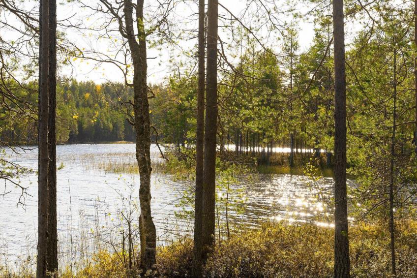 Villa käpytikka - foto 31