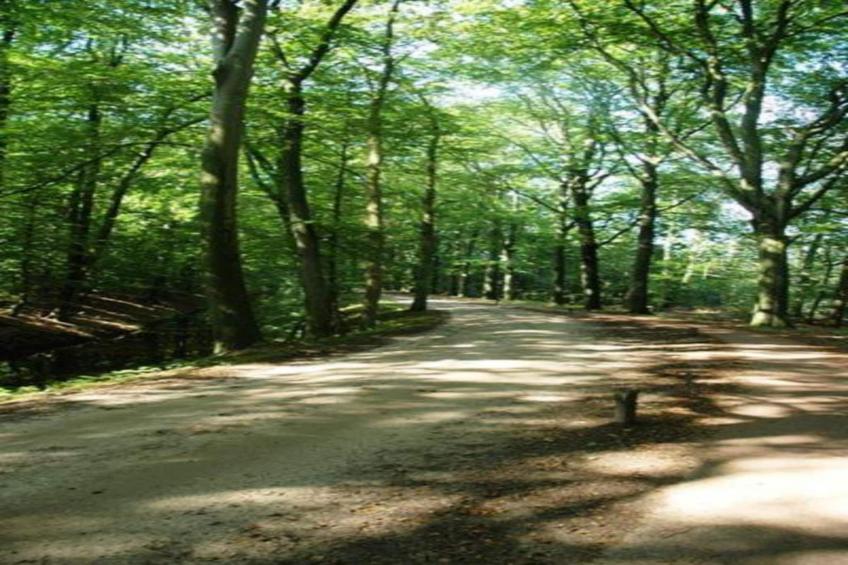 Vakantiecentrum 't Schuttenbelt 2 - foto 37