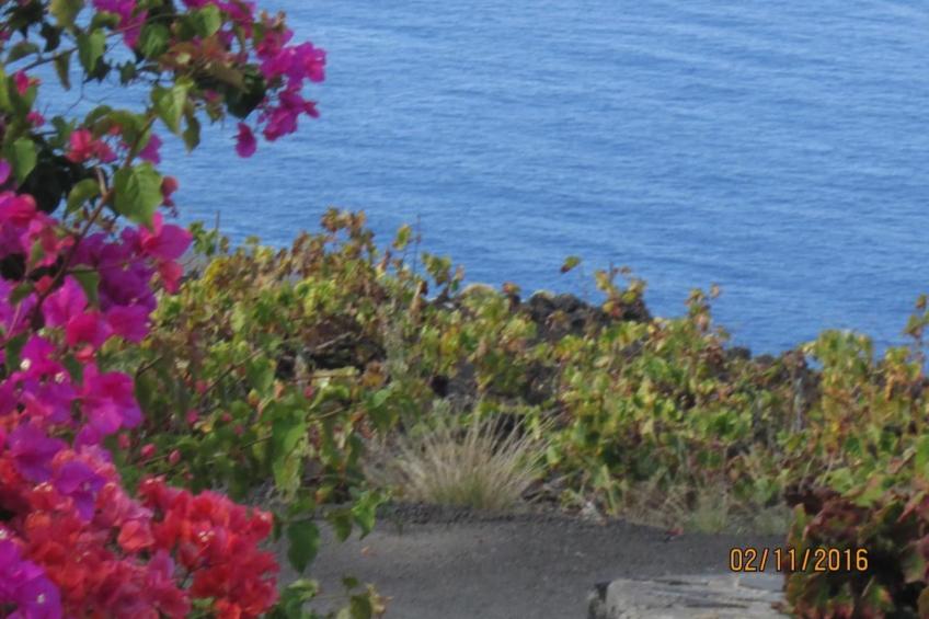 "Las Viñas" mit Wasserblick - foto 17