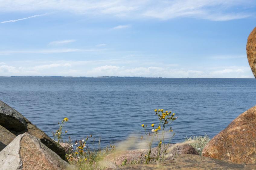"Ødke" - 25m from the sea - foto 27