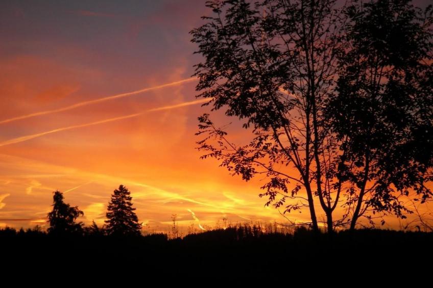 Appartement in Elbersreuth mit Garten - foto 37