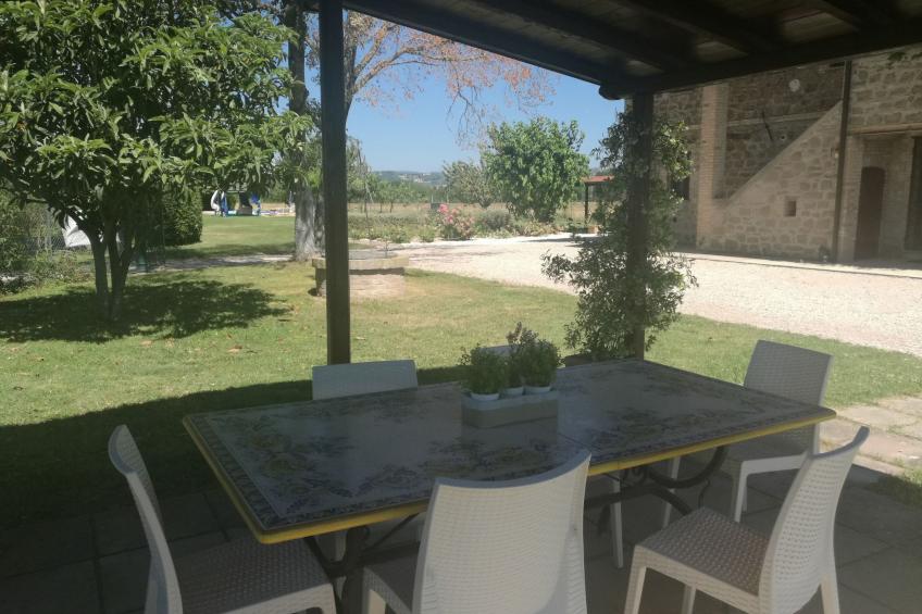 Die Maulbeerbäume auf dem Bauernhof - foto 5