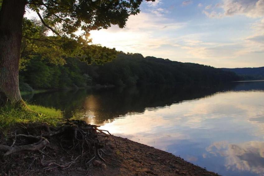 Hülsemann - foto 37