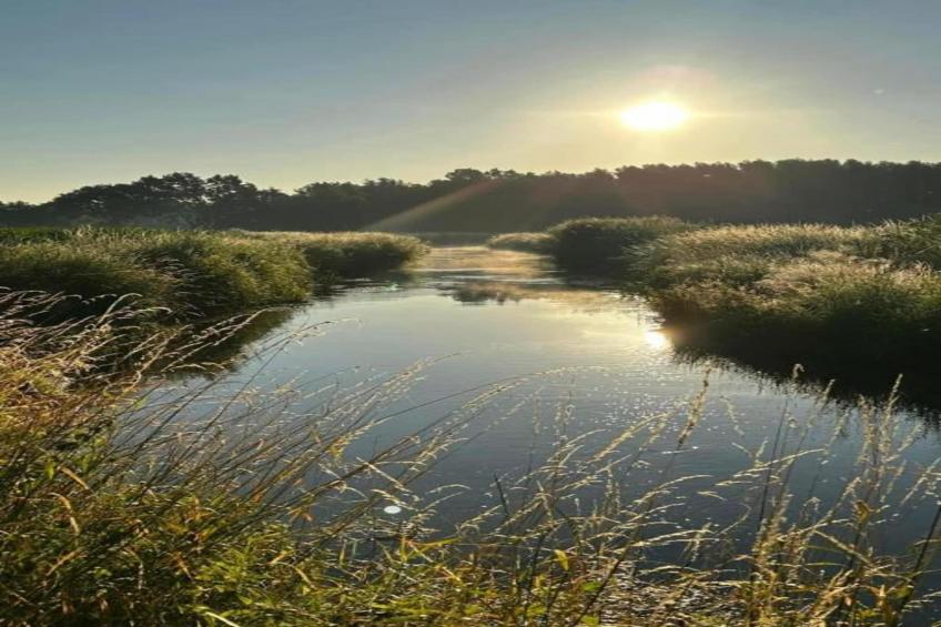 De Vrije Vogel - foto 39