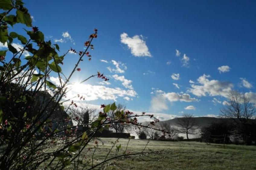 MONDARRAIN - foto 22